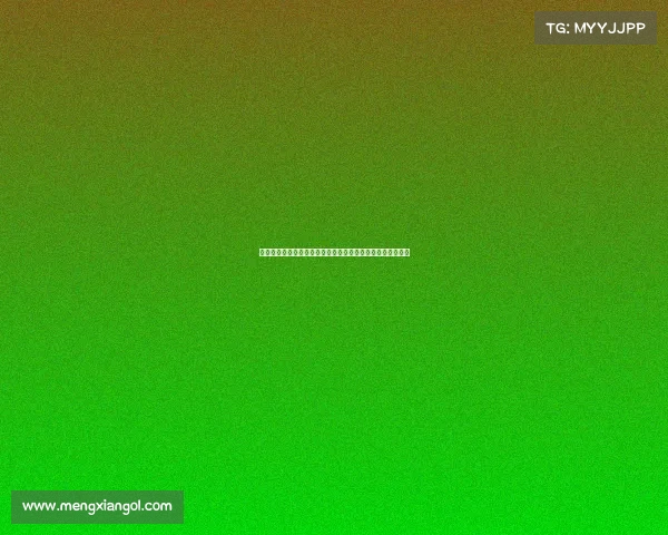 法甲球队如何通过自由转会打造强大阵容分析与未来趋势探讨 法甲球队如何通过自由转会打造强大阵容分析与未来趋势探讨