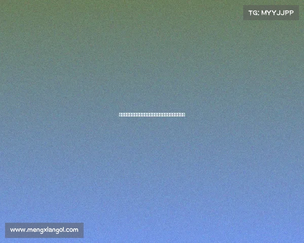 德甲联赛历史与现状分析:豪门竞争与青训体系的双重发展