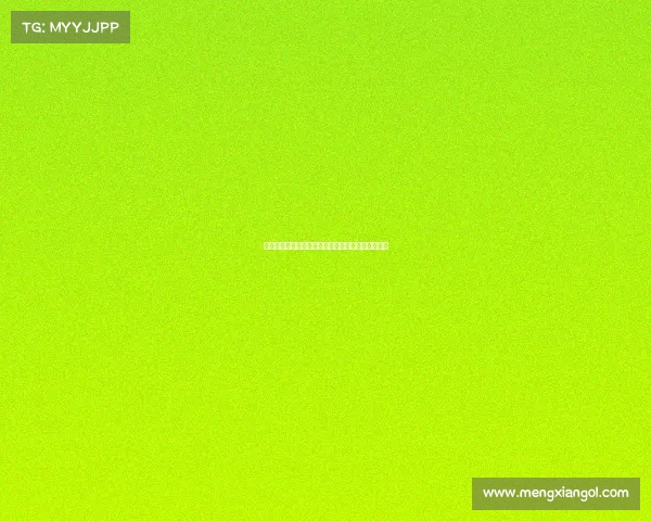 弗赖堡从法兰克福引进前锋马塔诺维奇加强进攻阵容