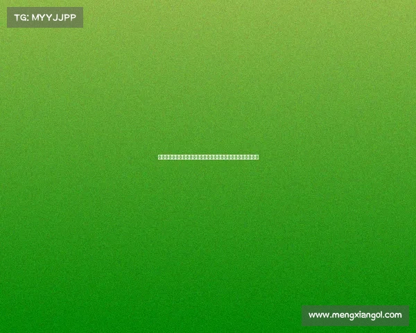 聚焦技术官员职能与影响力在企业数字化转型中的关键作用与挑战